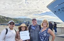 Spectacular Wellington: Half Day Private Sightseeing Tour