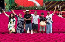 From Hanoi: Incense Village to Ninh Binh with Small Group of 9