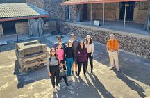 Private full tour to Teotihuacan and Basilica at your own pace