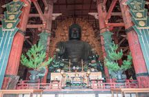 Discover Ancient Nara: Private Car Tour from Kyoto or Osaka