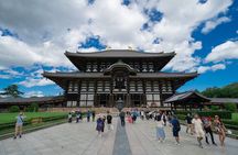 Discover Ancient Nara: Private Car Tour from Kyoto or Osaka
