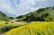 Group Tour Visit all place in Sa Pa 1 day