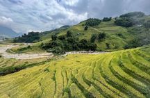 Ta Van Trekking Tour to Bamboo Forest & Ethnic Minority Villages