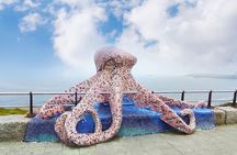 Private PREMIUM Tour EN Tuk tuk A Coruña