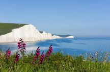 Small Group Tour of Seven Sisters and Brighton
