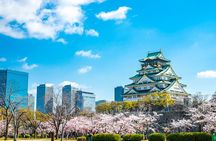 Osaka full day Private Customizable Tour(guide optional)