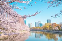 Osaka full day Private Customizable Tour(guide optional)