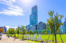 Osaka full day Private Customizable Tour(guide optional)
