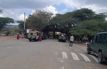 Maasai Mara Day Trip From Nairobi