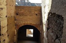 ROME:Colosseum, forum & palatin hill guided tour - private/group