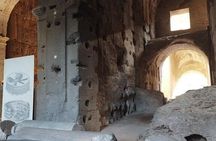 ROME:Colosseum, forum & palatin hill guided tour - private/group