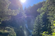 Skagway Waterfall Tour