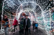 Vancouver Double-Decker Holiday Lights and Karaoke Tour