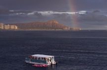 Waikiki Whale Watching Cruise