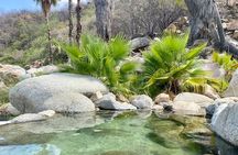 Private Tour to Hot Springs and Waterfall in Santiago