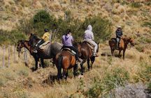 Aluminé : Day Horseback Tour with Traditional Roast