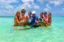 Nassau: Swimming Pigs & Island Escape with Bahamian Lunch
