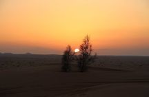 Tatouine - Cheneni - Ksar Ghuilaine - Matmata: 2 days visit