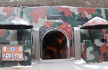 DMZ 2nd tunnel and Y Shaped Suspension Bridge Tour from Seoul