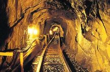 DMZ 2nd tunnel and Y Shaped Suspension Bridge Tour from Seoul