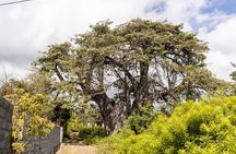 Northern Grand Comore Guided Tour