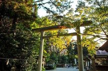 Kamishikimi Kumanoza Shrine, Amano Iwato Shrine & Takachiho Gorge