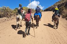 5-Day Northern Ethiopia Tour : 3D Simien Mountains Trek & Axum. 