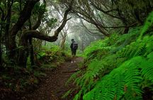 Tenerife Wonder Walk