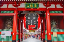 Tokyo | Fully Personalized Private Day Tour with Certified Guide