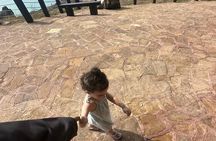 8 hrs of Exploring West Salalah 