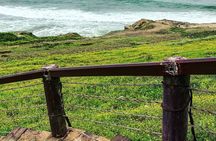 8 hrs of Exploring West Salalah 
