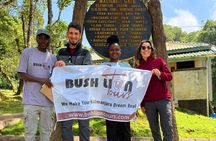 Machame Route 7-Day Private Kilimanjaro Trek