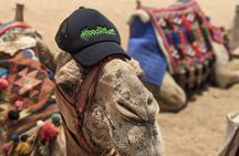Quad Bike and Camel ride At Desert of Giza Pyramids