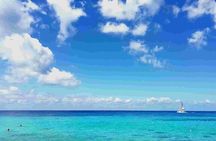 Cozumel Private Island Tour