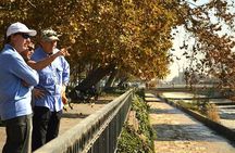 Private Walking in Santiago: Explore with a Local Expert + Lunch