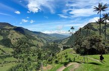 Cocora Valley Shared Tour