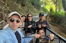Cocora Valley Shared Tour