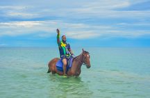 Customize Ocean Horse-back Ride , Dunn’s River fall & Bamboo Raft