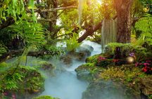 Chiang Rai White and Blue Temples with Lalitta Cafe