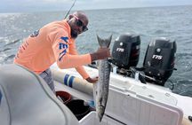 Light Tackle Fishing in St. Lucia 