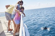 Newcastle: Animal Lovers Tour - Kangaroos, Dolphins & more!