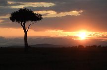 4 Days Lake Nakuru and Masai Mara Safari