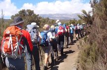 5 Days Classic Kilimanjaro Climb via Marangu route