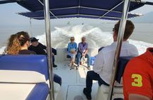 Elephanta Caves by Premium Speedboat - Group Tour