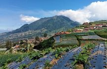Mount Merbabu One Day Hiking Tour From Yogyakarta