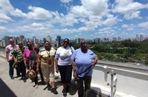 5 Hours Private Full Day City Tour in Sao Paulo