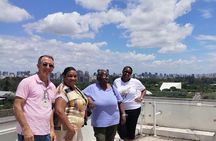 5 Hours Private Full Day City Tour in Sao Paulo