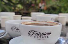Coffee Farm Tour (Fairview)