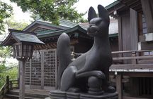 Half Day Takayama Inari Shrine Tour with Licensed Guide