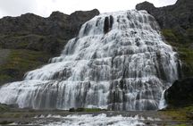 Small Group Tour Ísafjordur Dynjandi Waterfalls and Farm 